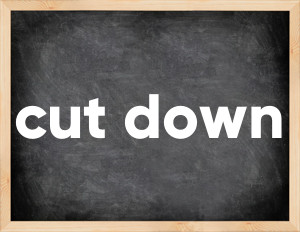 3 forms of the verb cut down