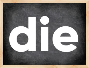 3 forms of the verb die