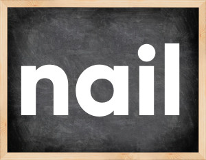 3 forms of the verb nail