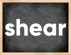 3 forms of the verb shear
