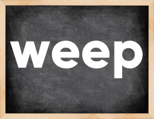 3 forms of the verb weep